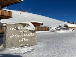unique large alpine pasture in the middle of the Zillertal mountains Zellberg